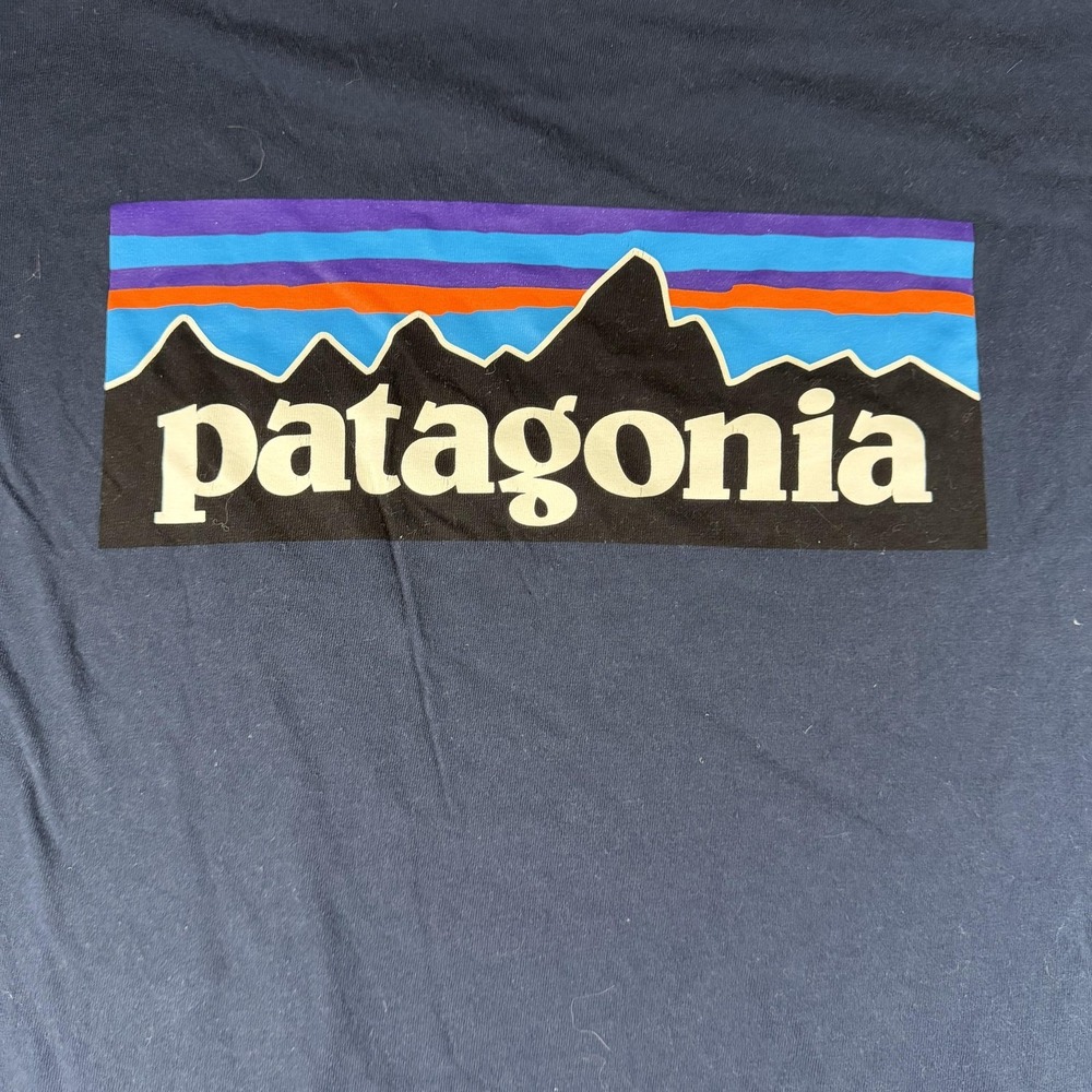 Patagonia Shirt Mens Large Blue Long Sleeve Logo Graphic Tee Tagless Outdoor